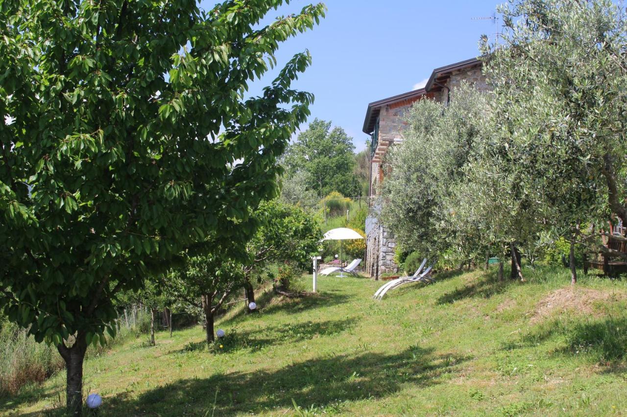 Agriturismo Angiò nel Cerè Acomodação com café da manhã Bracelli Exterior foto