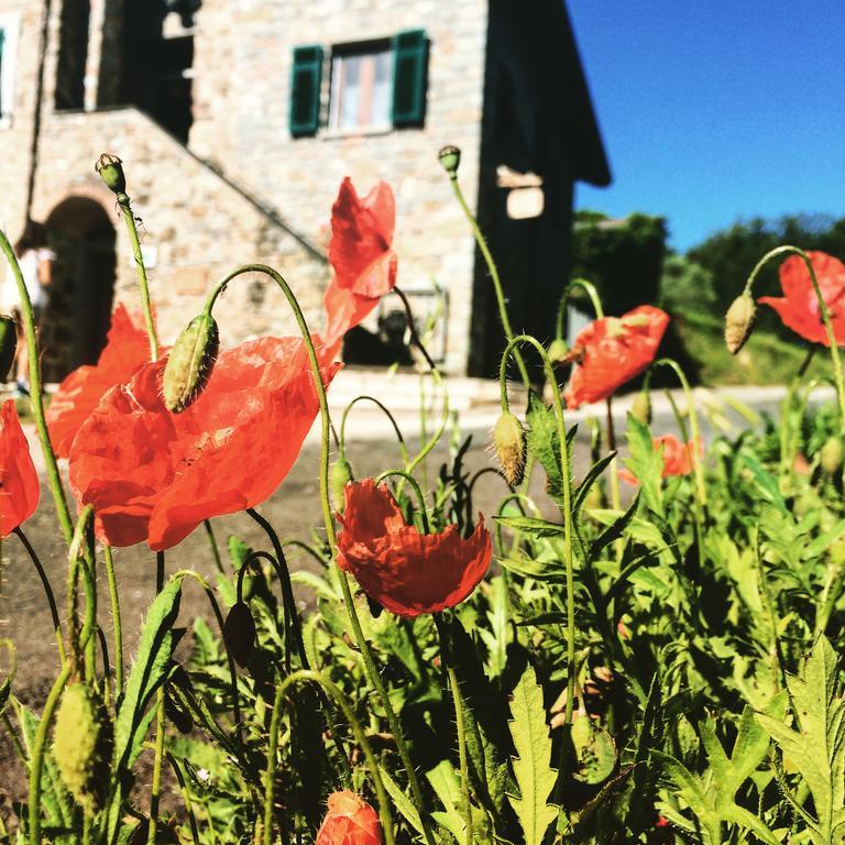 Agriturismo Angiò nel Cerè Acomodação com café da manhã Bracelli Exterior foto