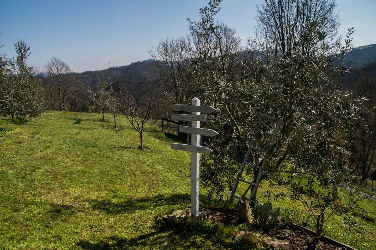 Agriturismo Angiò nel Cerè Acomodação com café da manhã Bracelli Exterior foto